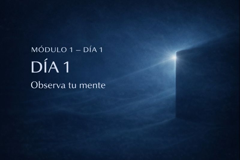 Día 1
